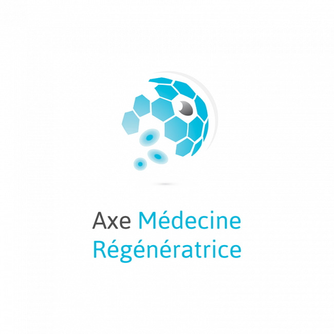 Axe Médecine Régénératrice du Centre de Recherche